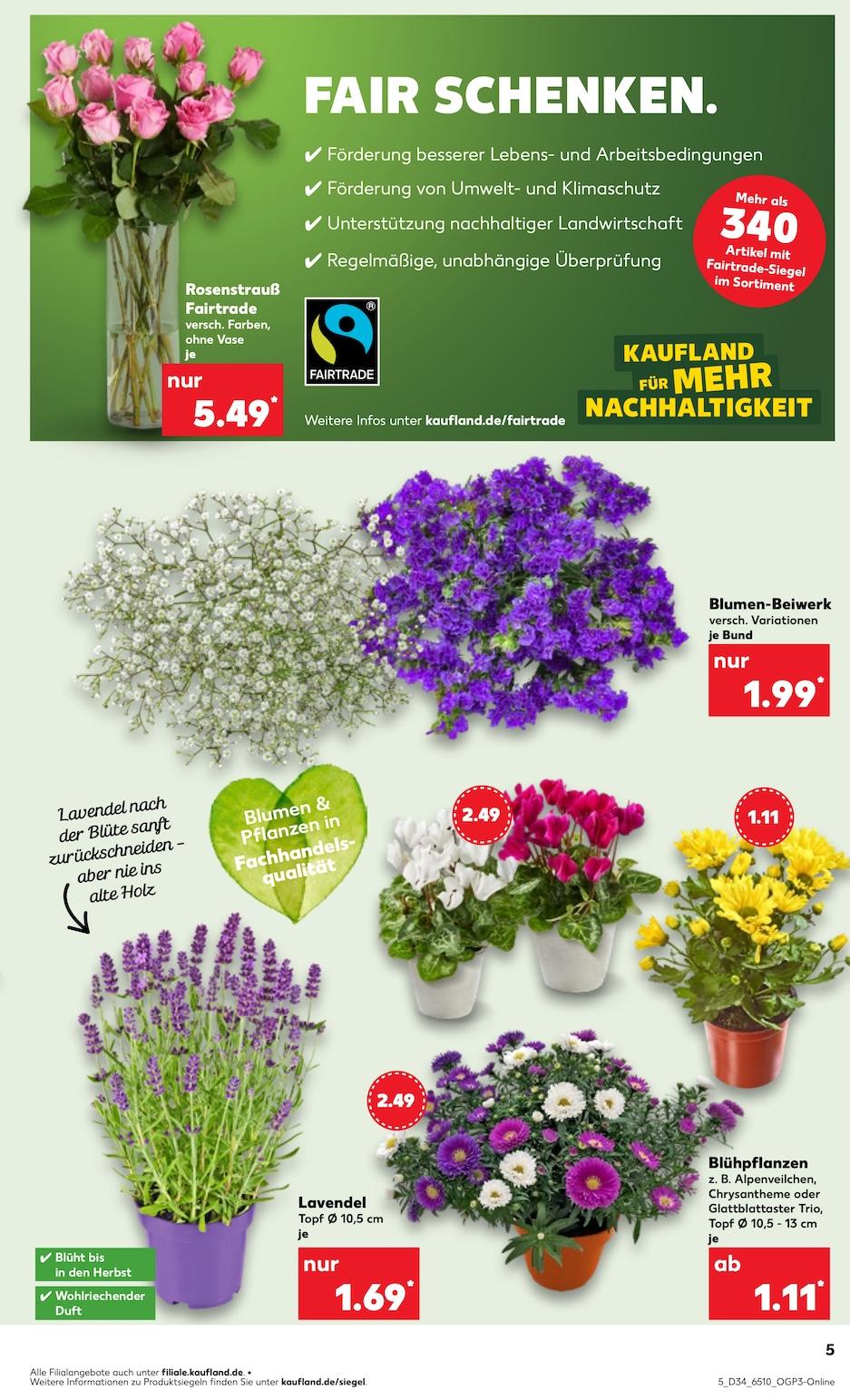 Kaufland Aktueller Prospekt ab Donnerstag Seite 5