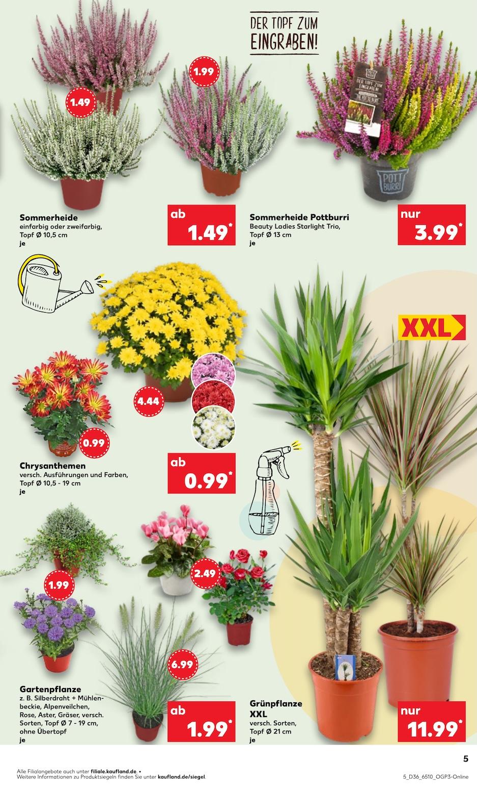 Kaufland Aktueller Prospekt ab Donnerstag Seite 5