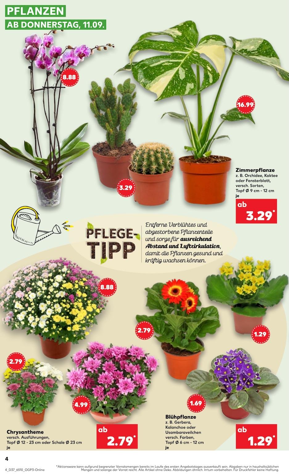 Kaufland Aktueller Prospekt ab Donnerstag Seite 4