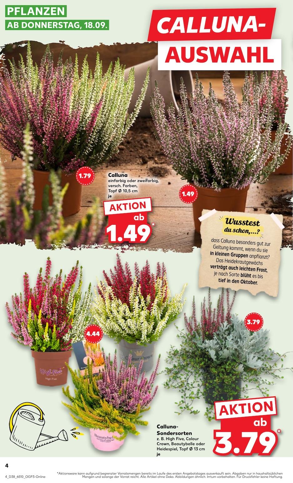 Kaufland Aktueller Prospekt ab Donnerstag Seite 4