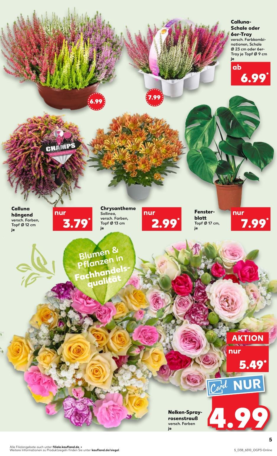 Kaufland Aktueller Prospekt ab Donnerstag Seite 5