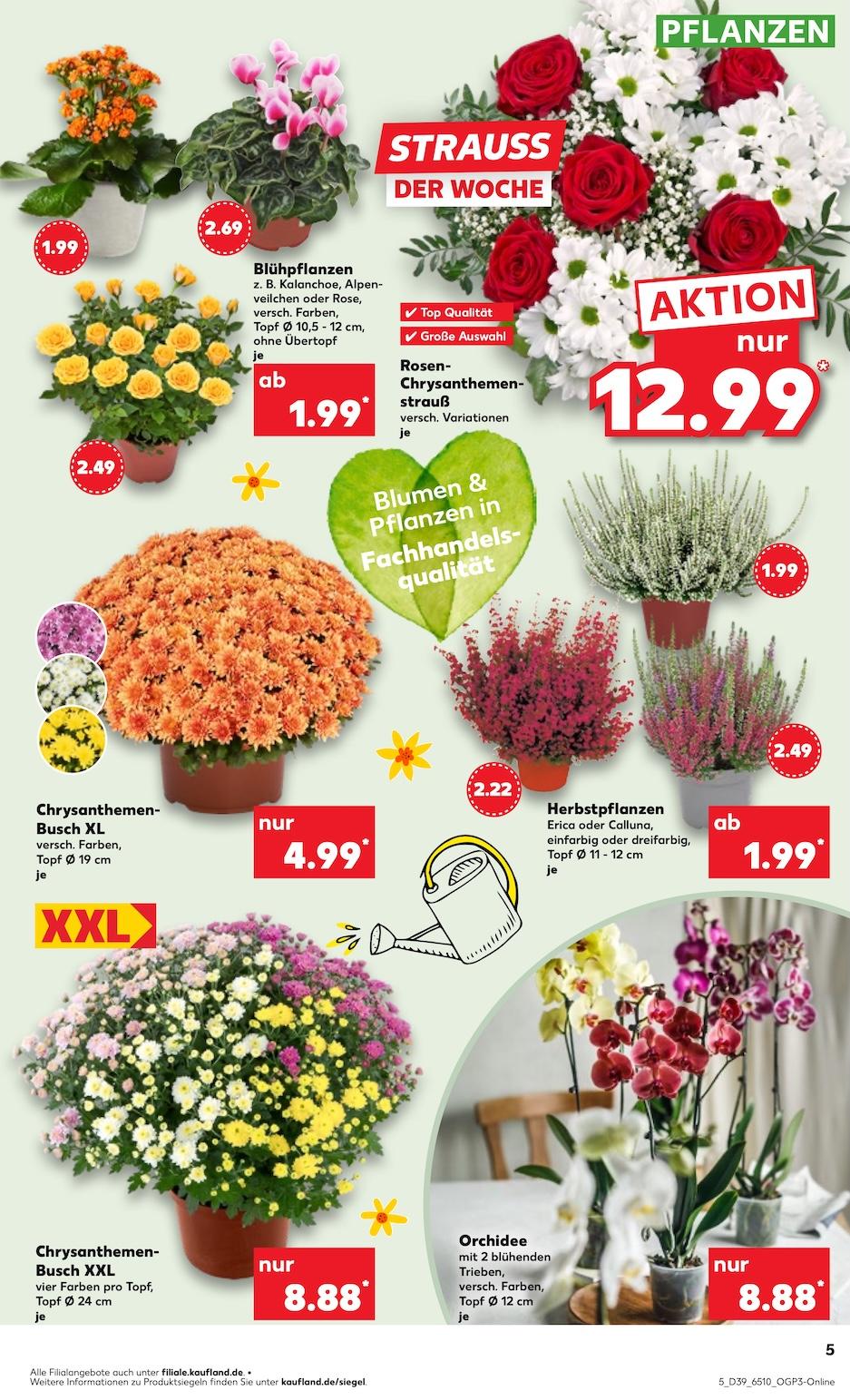Kaufland Aktueller Prospekt ab Donnerstag Seite 5