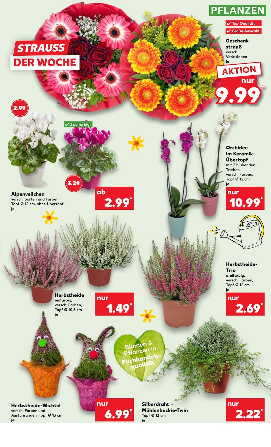 Kaufland Aktueller Prospekt ab Donnerstag Seite 5