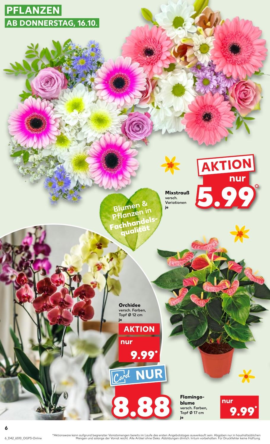 Kaufland Aktueller Prospekt ab Donnerstag Seite 6