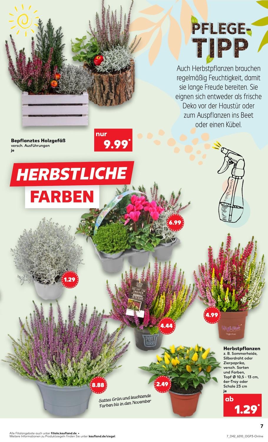Kaufland Aktueller Prospekt ab Donnerstag Seite 7