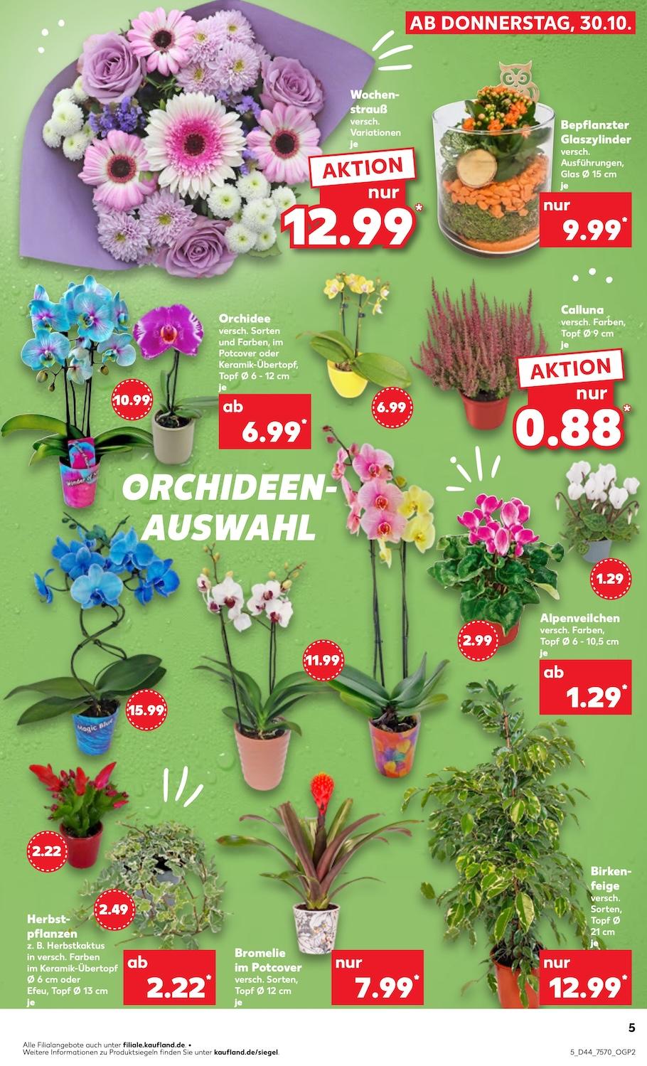 Kaufland Aktueller Prospekt ab Donnerstag Seite 5