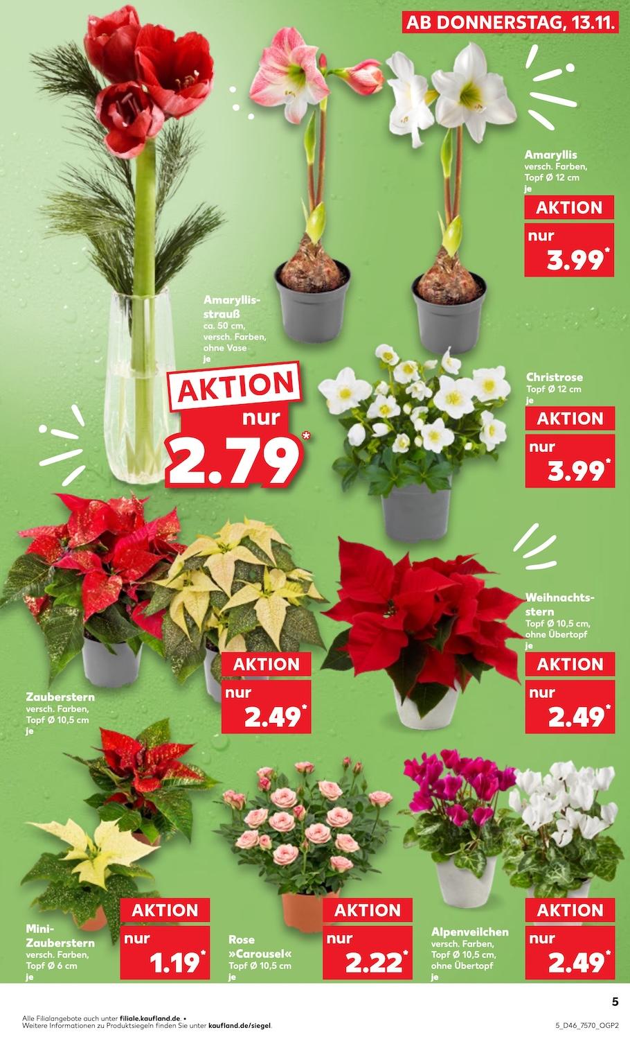 Kaufland Aktueller Prospekt ab Donnerstag Seite 5