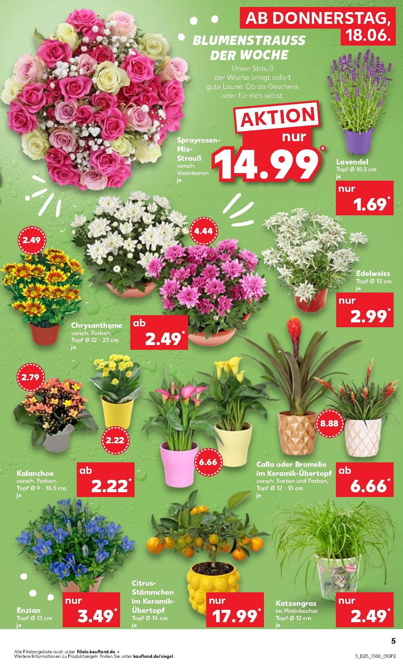 Kaufland Aktueller Prospekt ab Donnerstag Seite 5