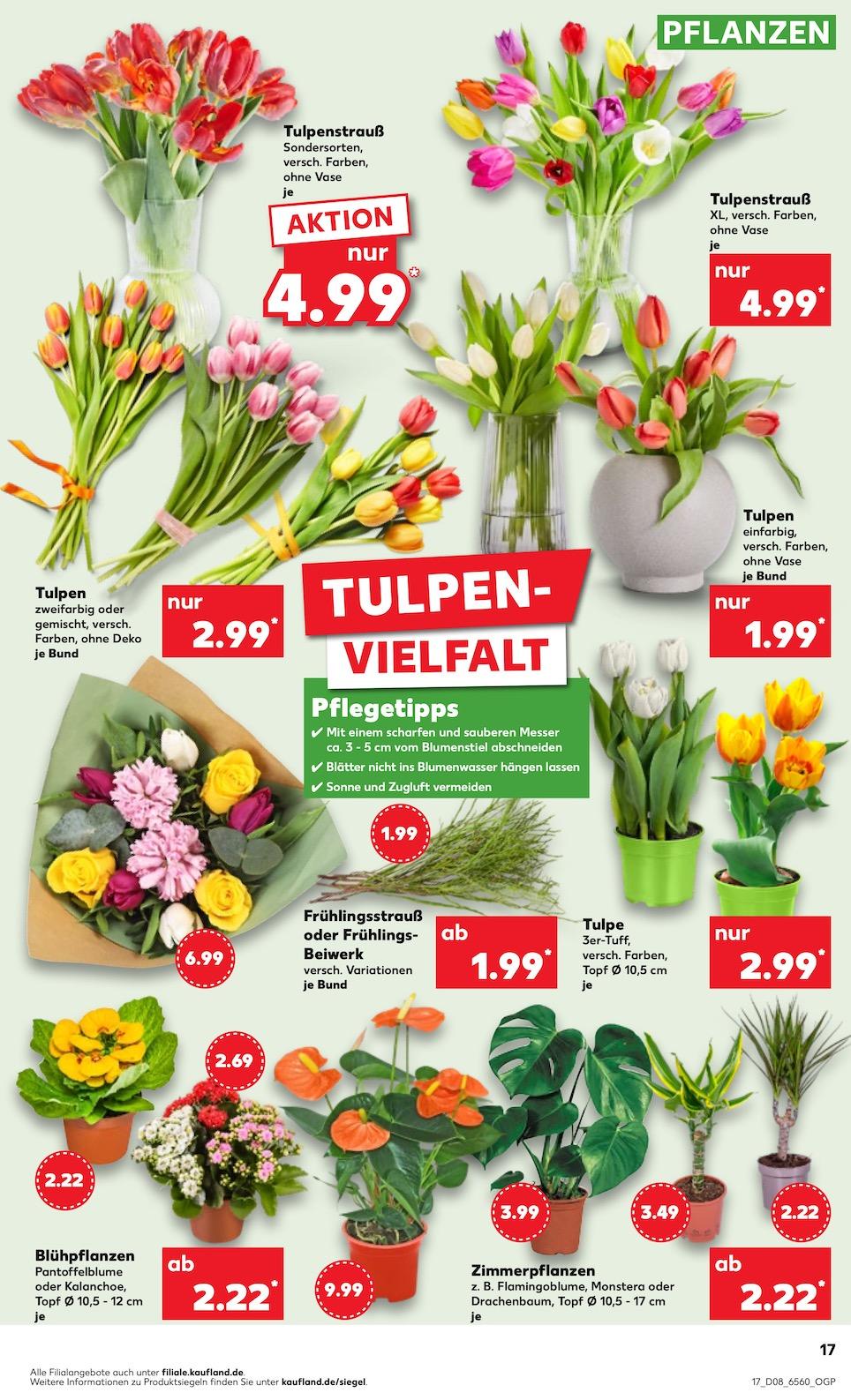 Kaufland Aktueller Prospekt ab Donnerstag Seite 17