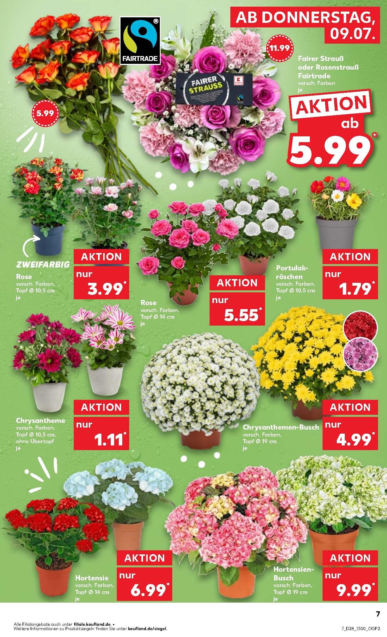Kaufland Aktueller Prospekt ab Donnerstag Seite 7
