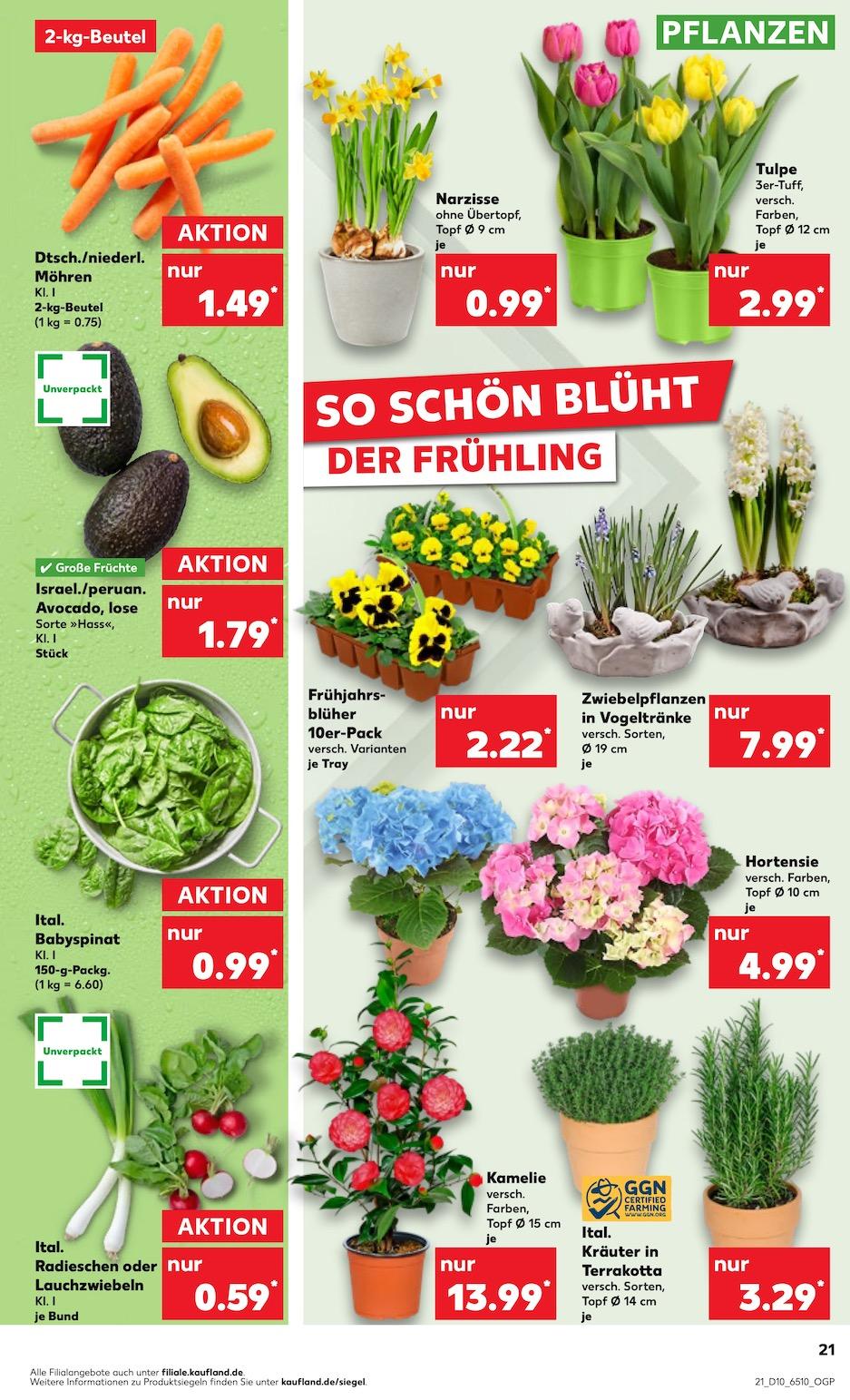 Kaufland Aktueller Prospekt ab Donnerstag Seite 21