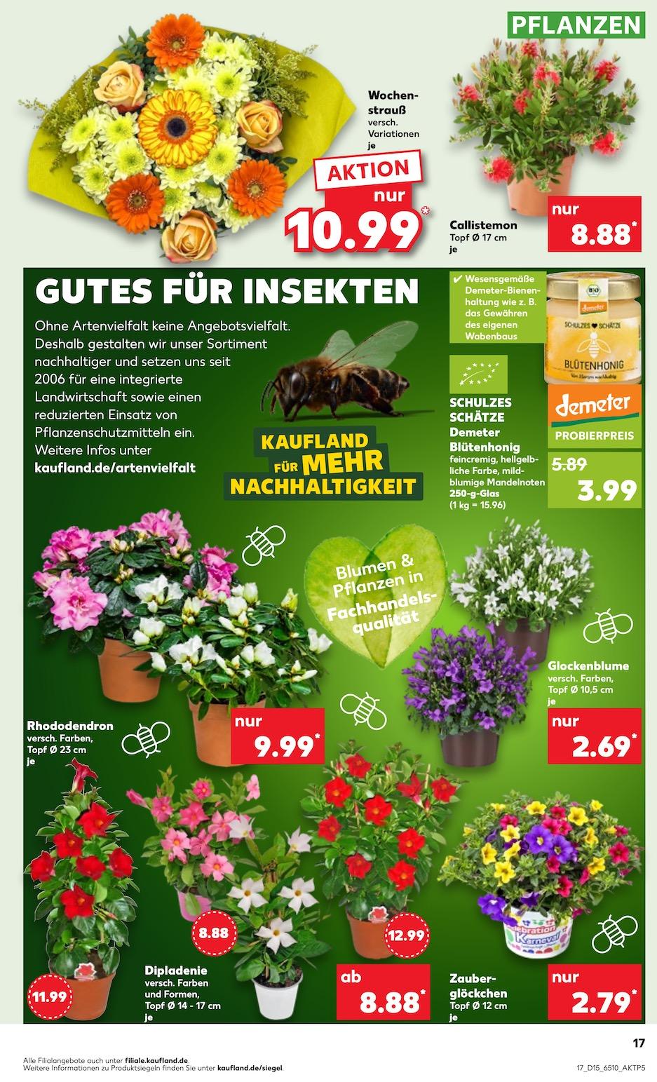 Kaufland Aktueller Prospekt ab Donnerstag Seite 17