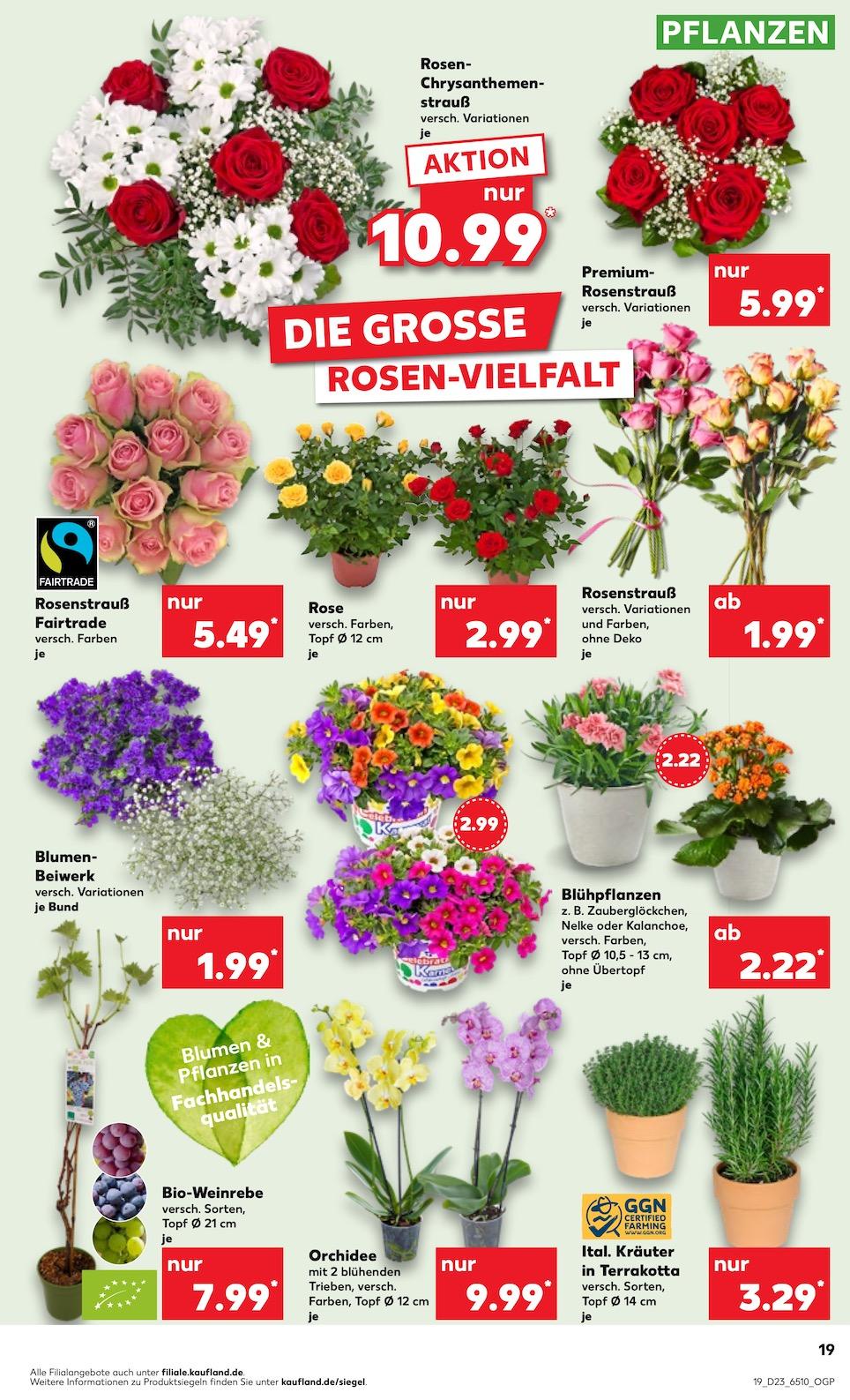 Kaufland Aktueller Prospekt ab Donnerstag Seite 19