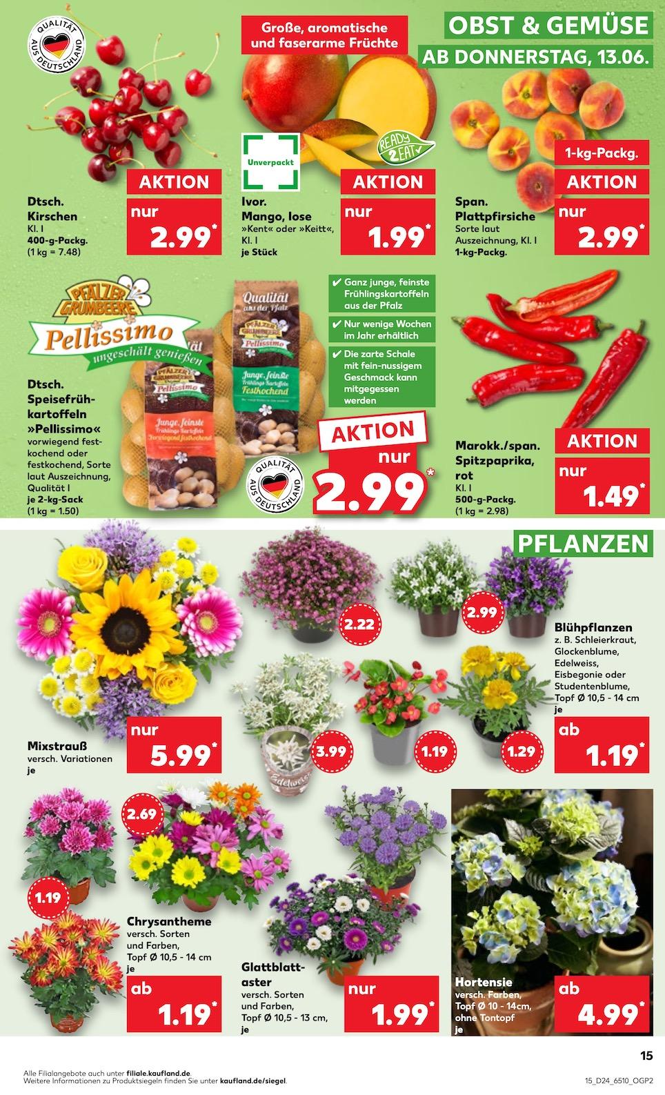 Kaufland Aktueller Prospekt ab Donnerstag Seite 15