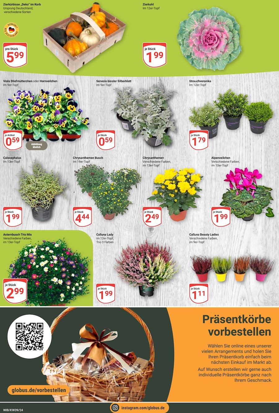 Globus Aktueller Prospekt ab Montag Seite 11