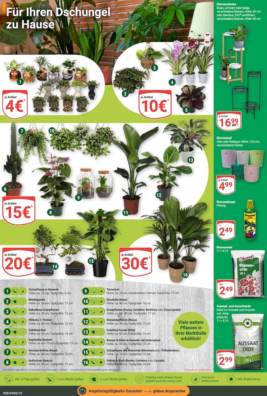 Globus Aktueller Prospekt ab Montag Seite 11