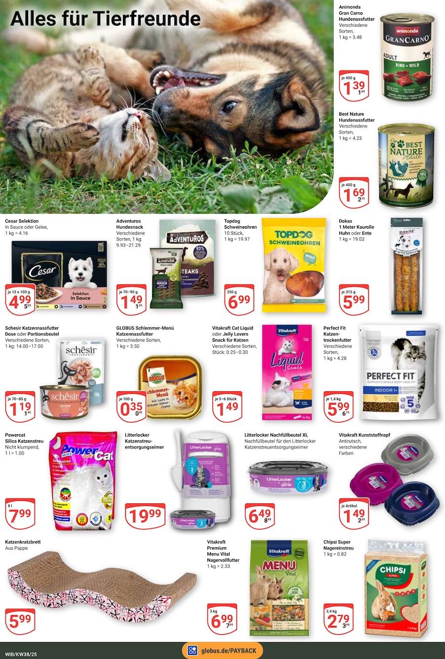 Globus Aktueller Prospekt ab Montag Seite 19