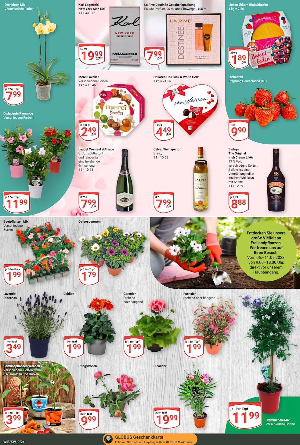 Globus Aktueller Prospekt ab Montag Seite 17