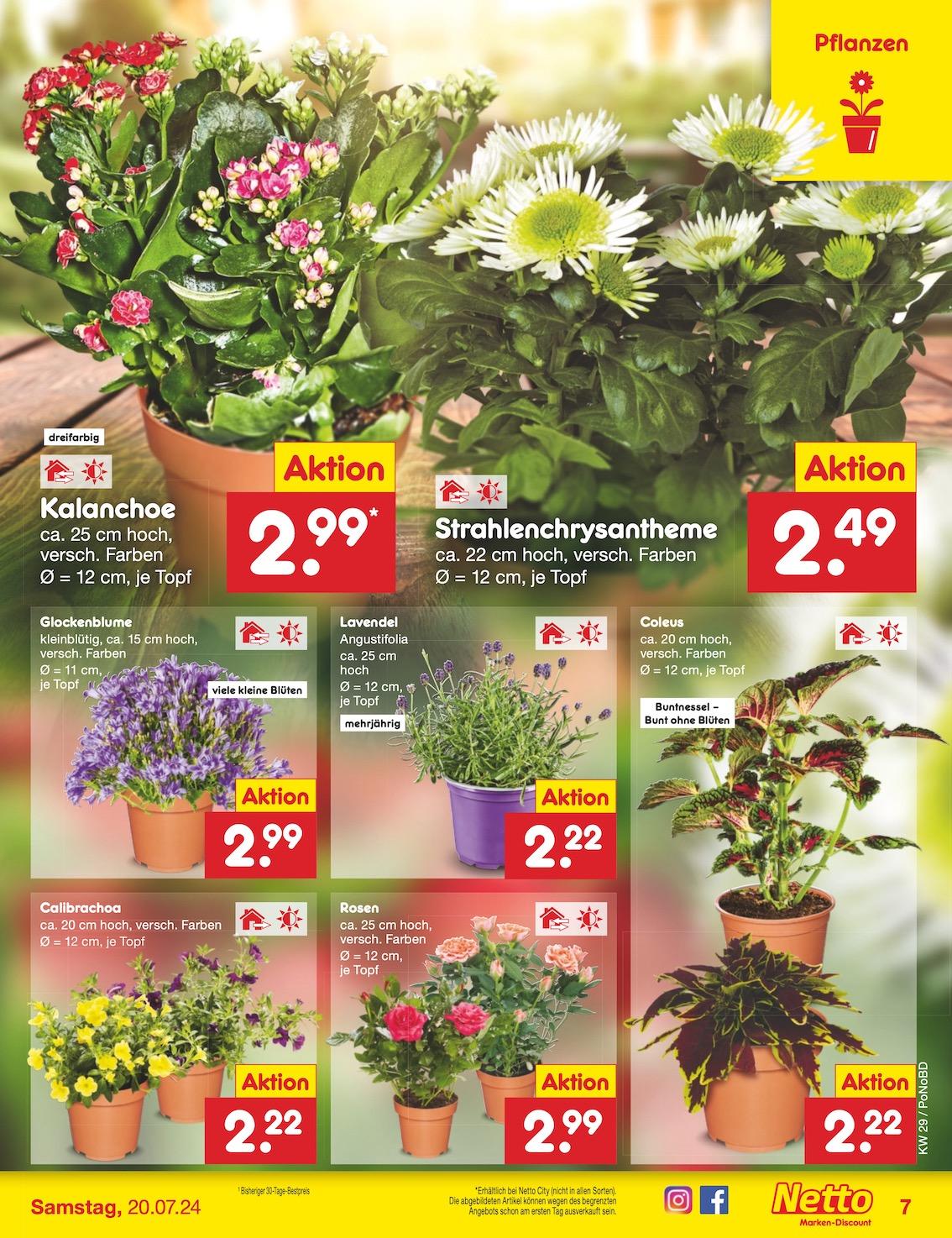 Netto Markend-Discount Seite 7