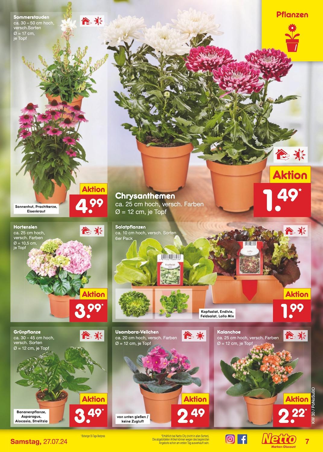 Netto Markend-Discount Seite 7