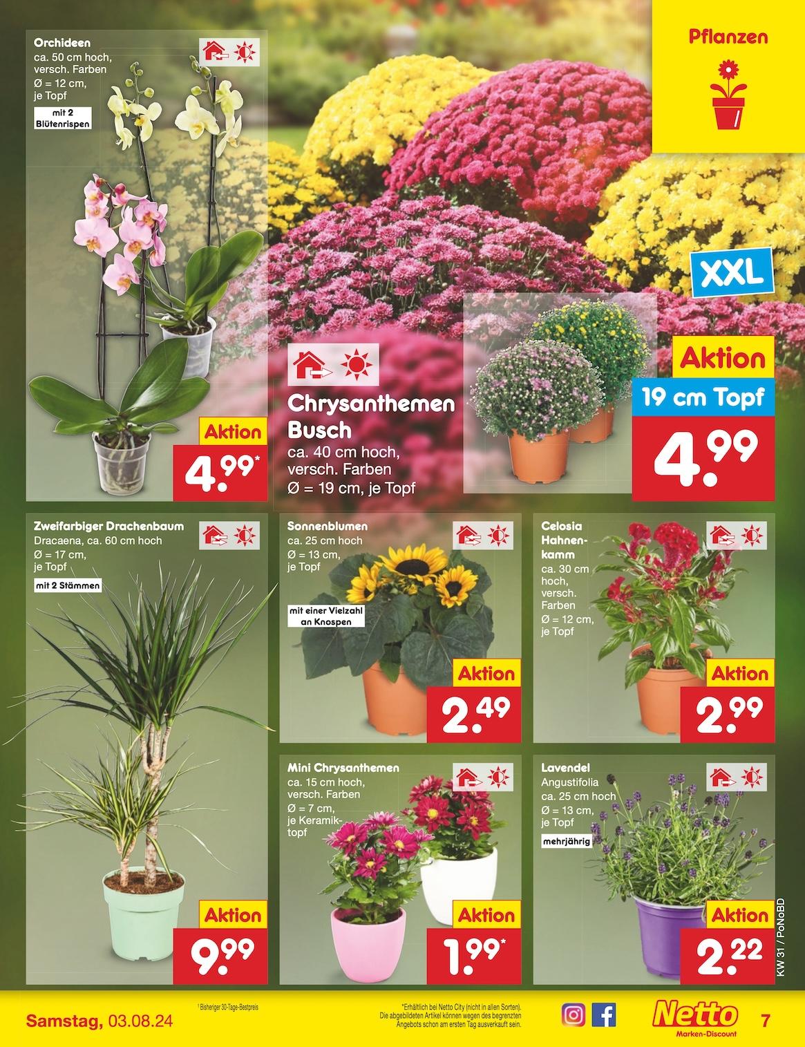 Netto Markend-Discount Seite 7