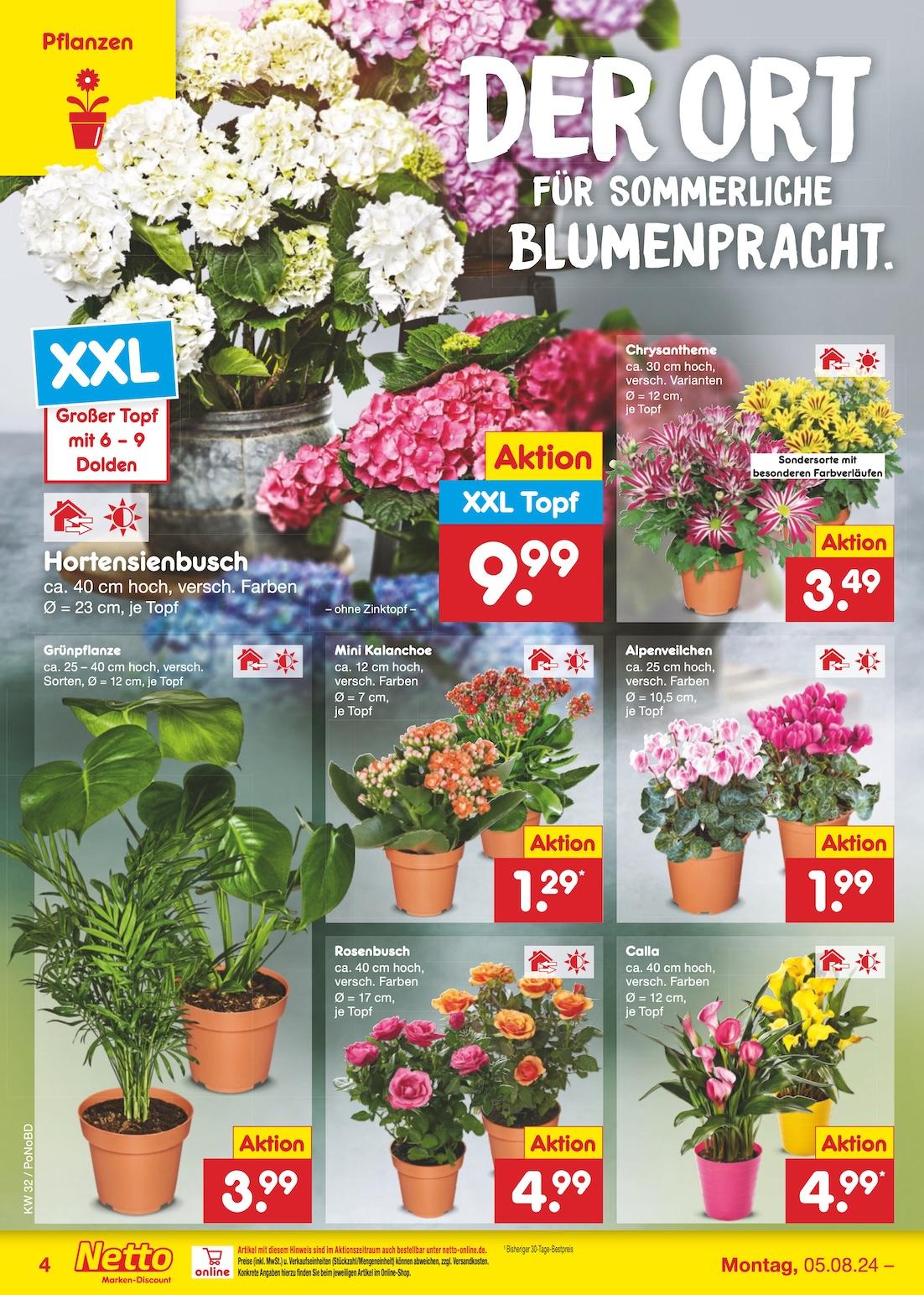 Netto Markend-Discount Seite 4