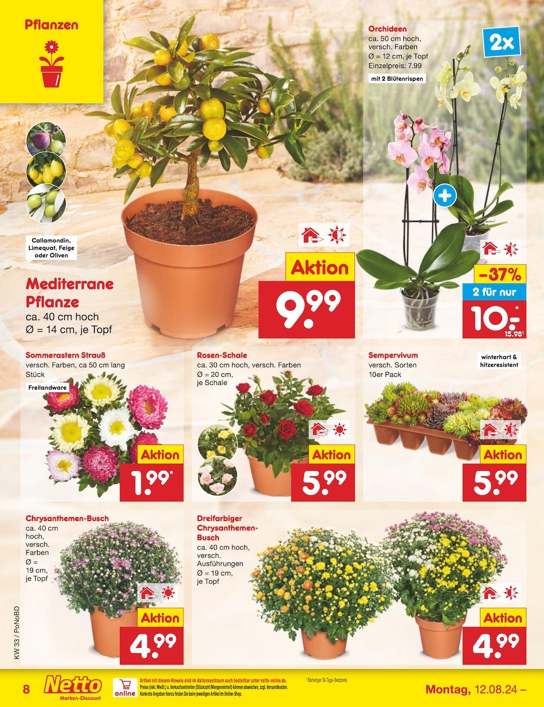 Netto Markend-Discount Seite 10