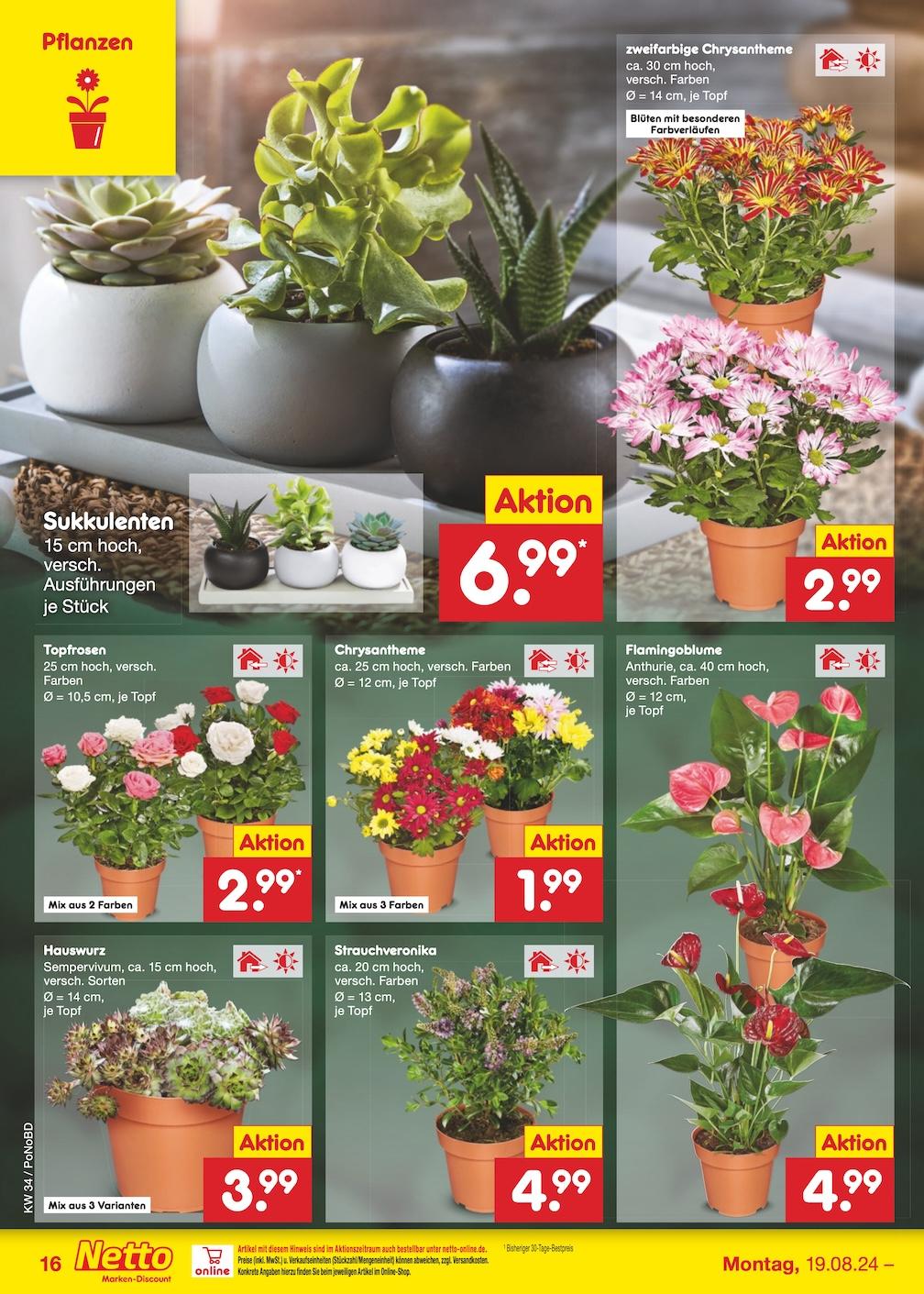 Netto Markend-Discount Seite 21