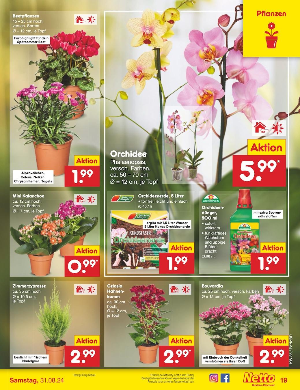 Netto Markend-Discount Seite 19