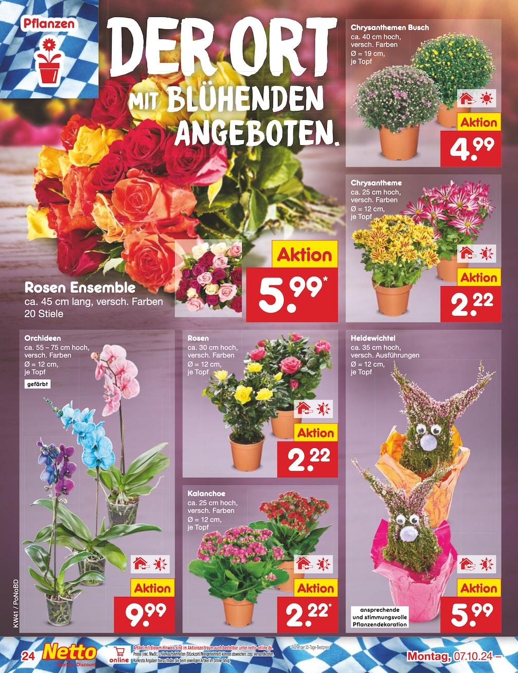 Netto Markend-Discount Seite 31