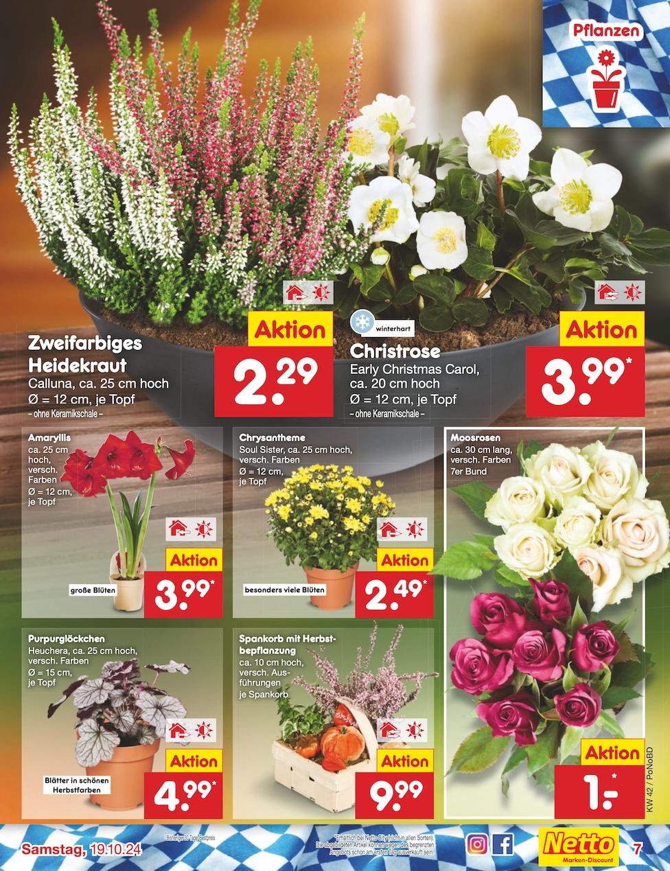 Netto Markend-Discount Seite 8