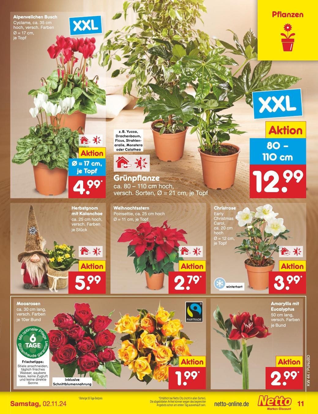Netto Markend-Discount Seite 11