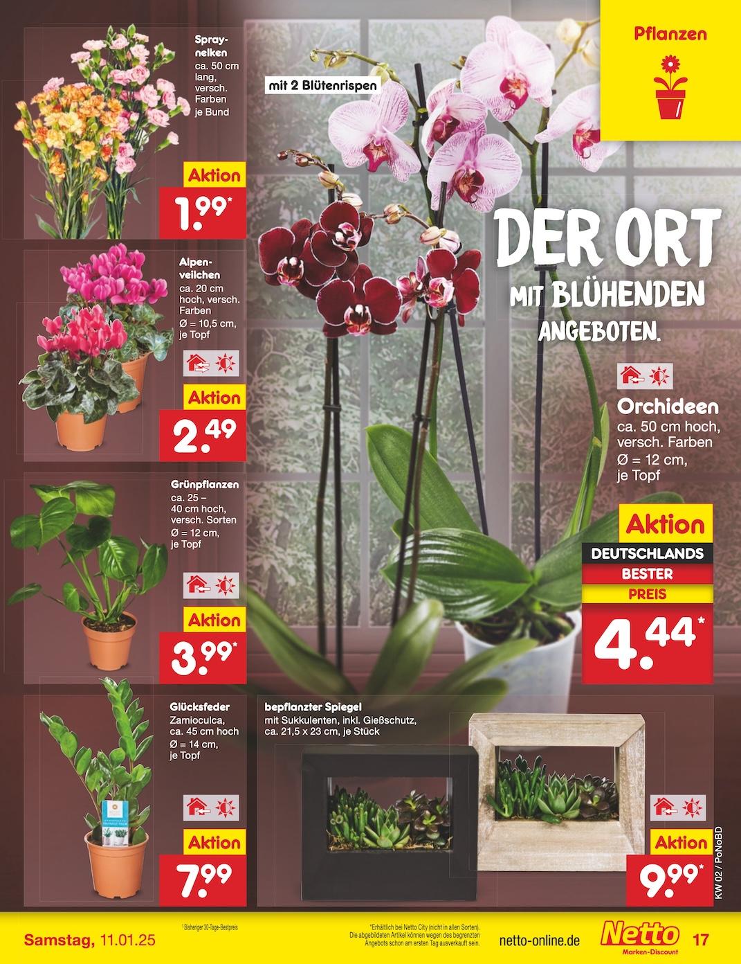 Netto Marken-Discount Seite 25