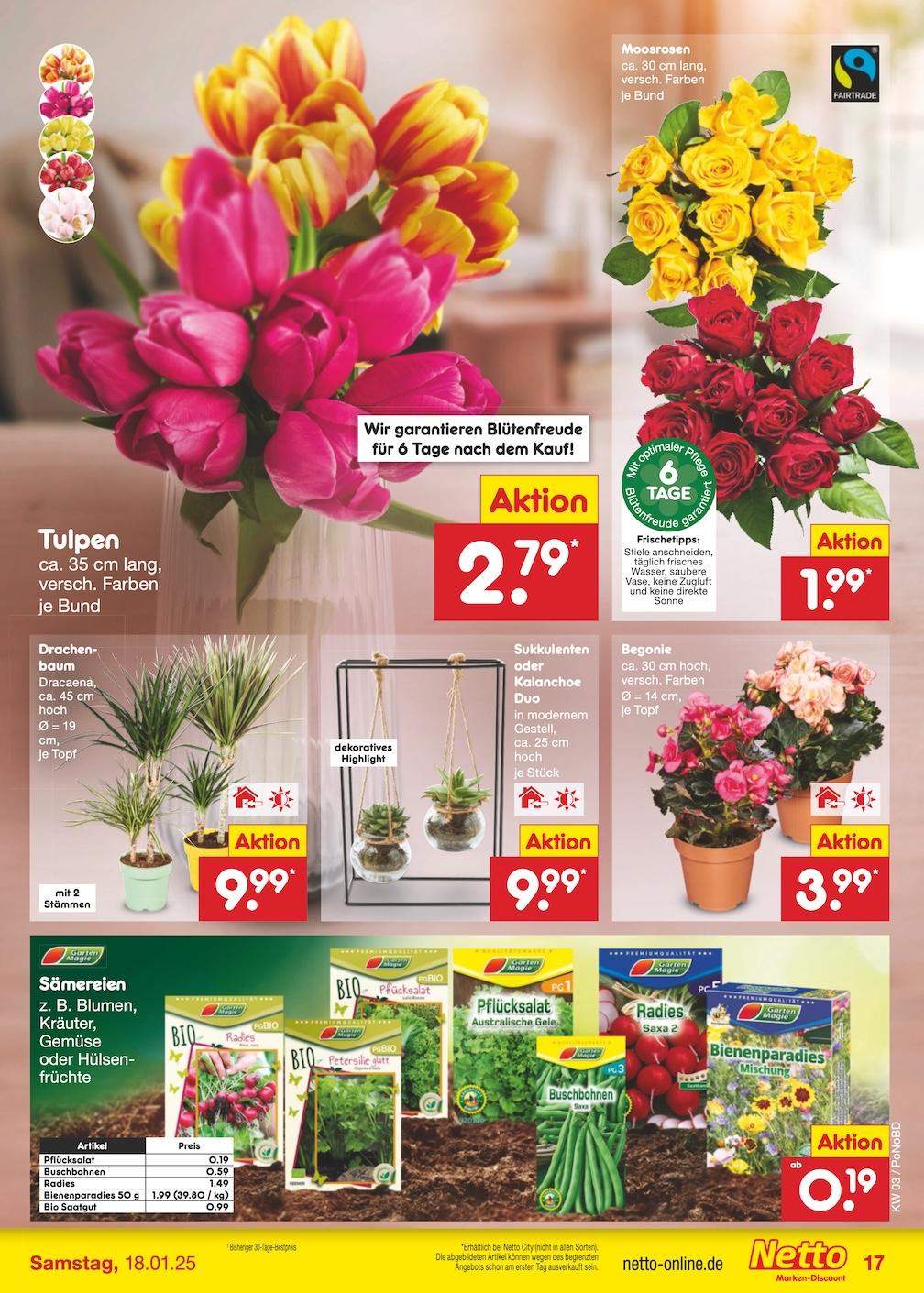 Netto Marken-Discount Seite 25