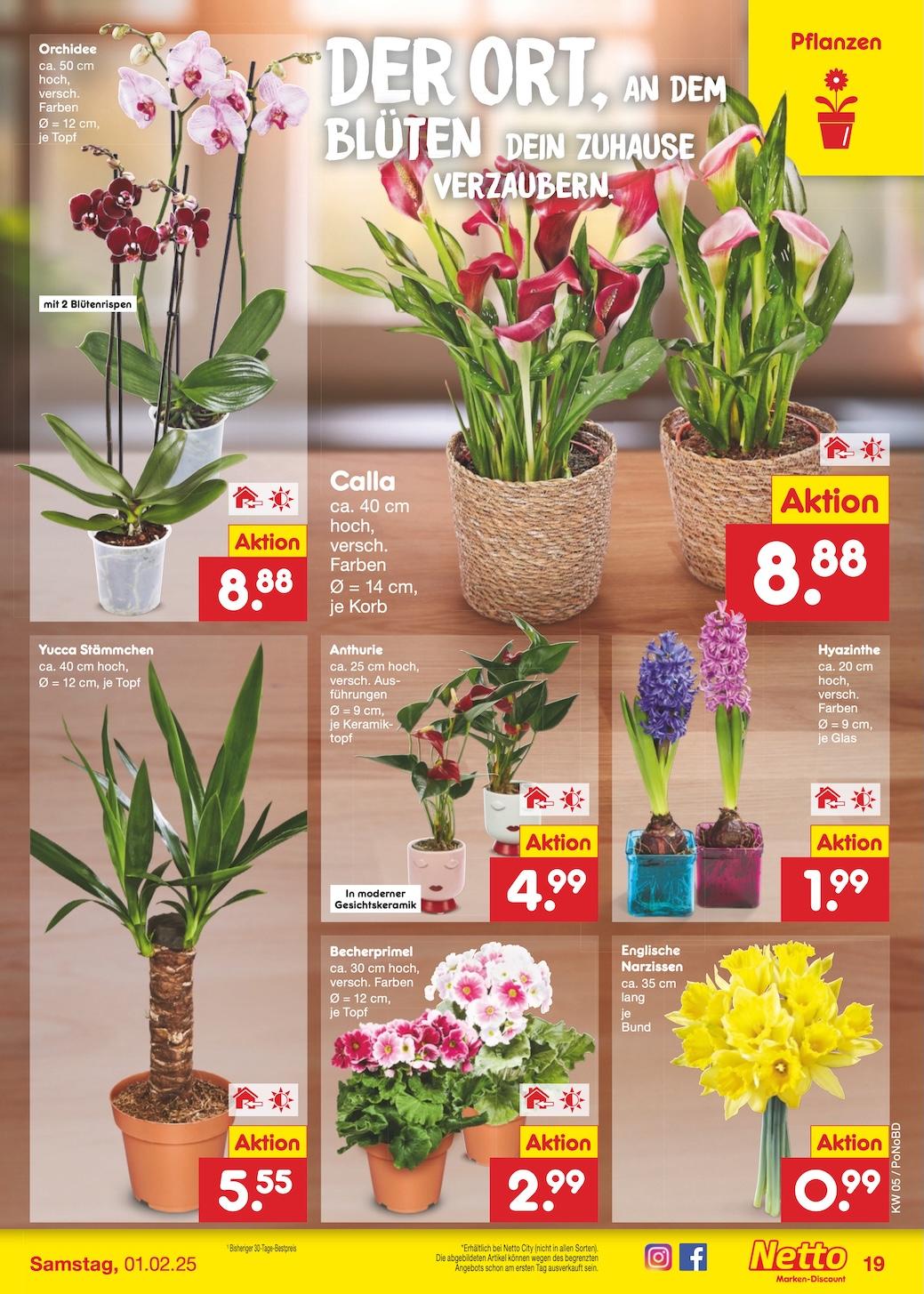 Netto Marken-Discount Seite 24
