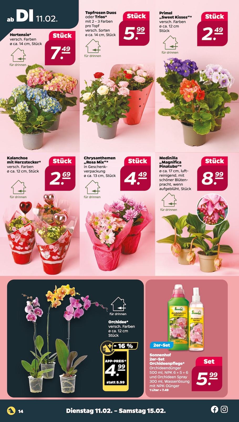 Netto Aktueller Prospekt ab Montag Seite 14