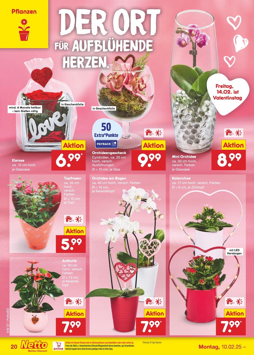 Netto Marken-Discount Seite 31
