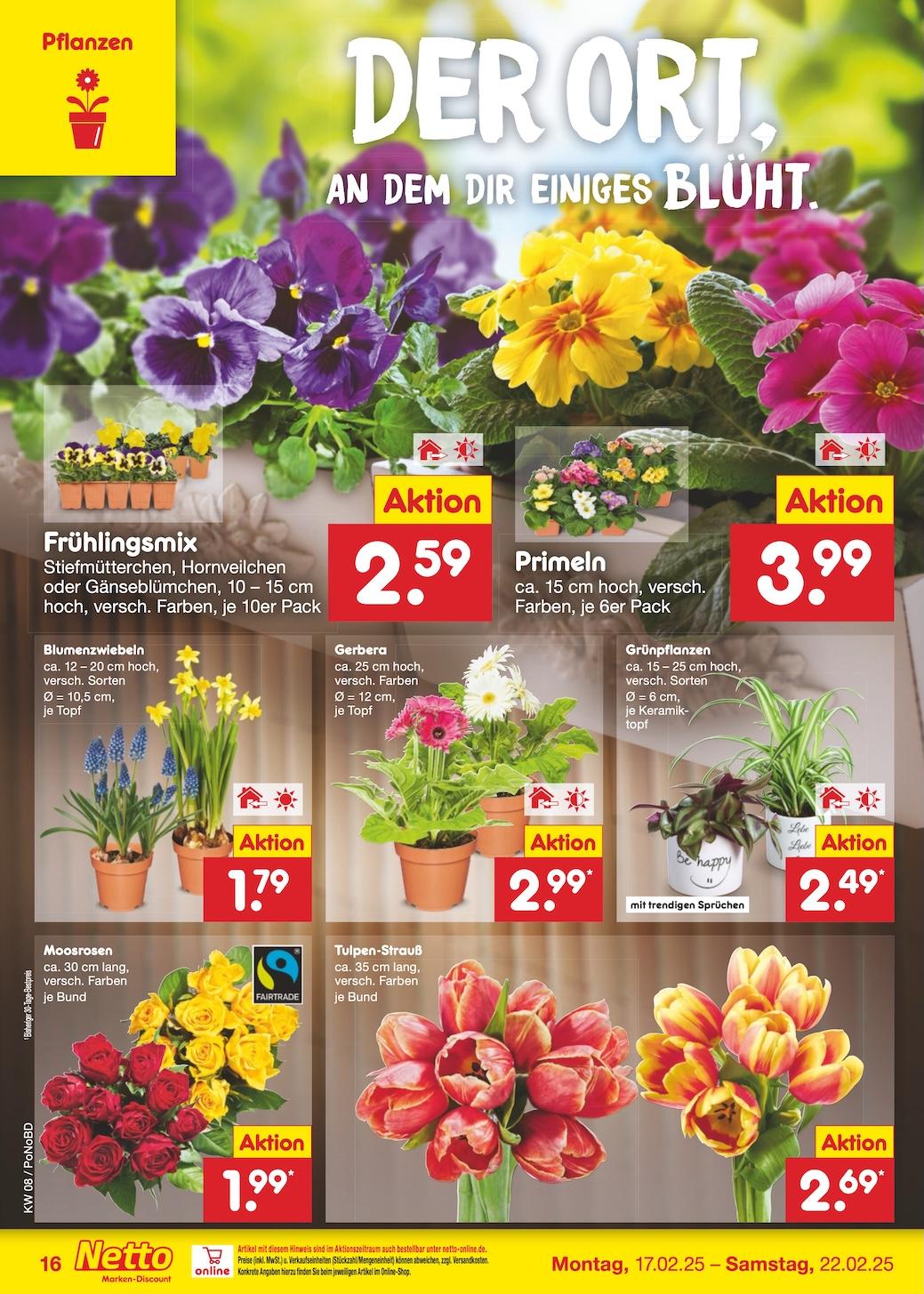 Netto Marken-Discount Seite 27