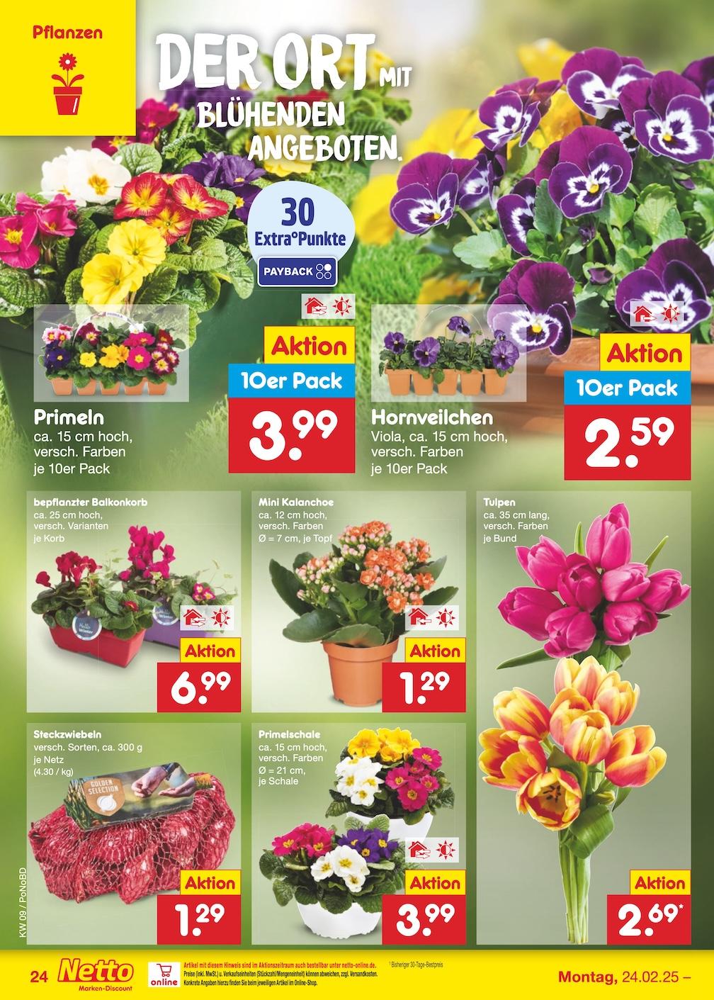 Netto Marken-Discount Seite 43