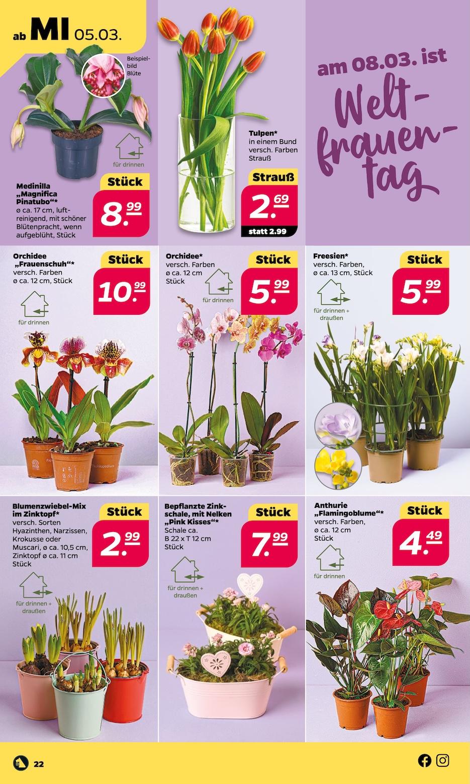 Netto Aktueller Prospekt ab Montag Seite 22