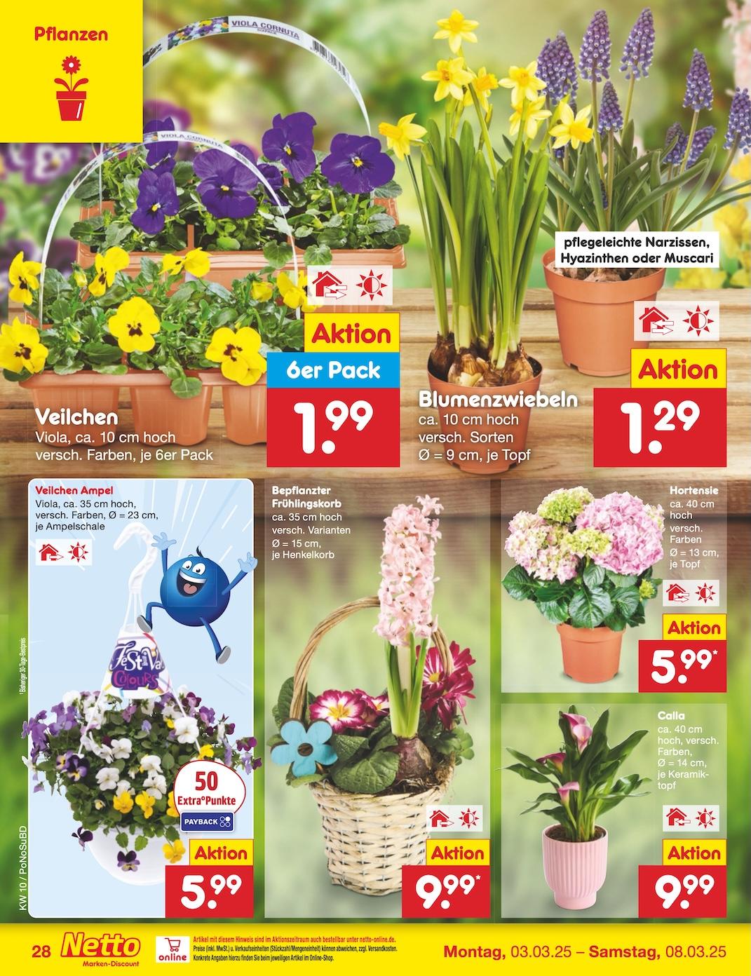 Netto Marken-Discount Seite 39