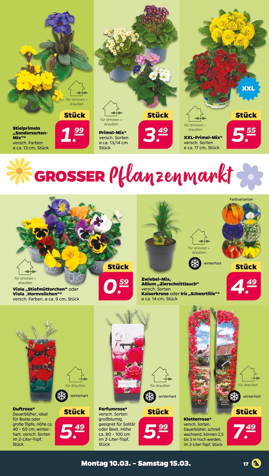 Netto Aktueller Prospekt ab Montag Seite 17