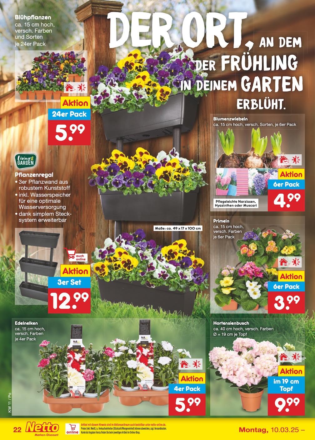 Netto Marken-Discount Seite 35