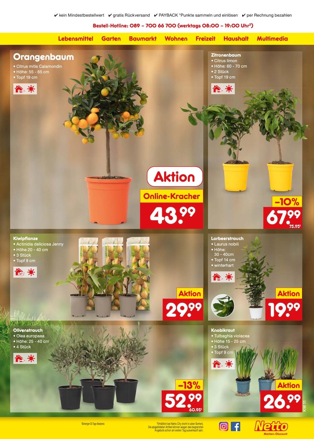 Netto Marken-Discount Seite 40