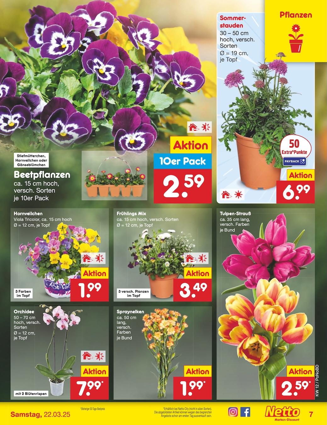 Netto Marken-Discount Seite 10
