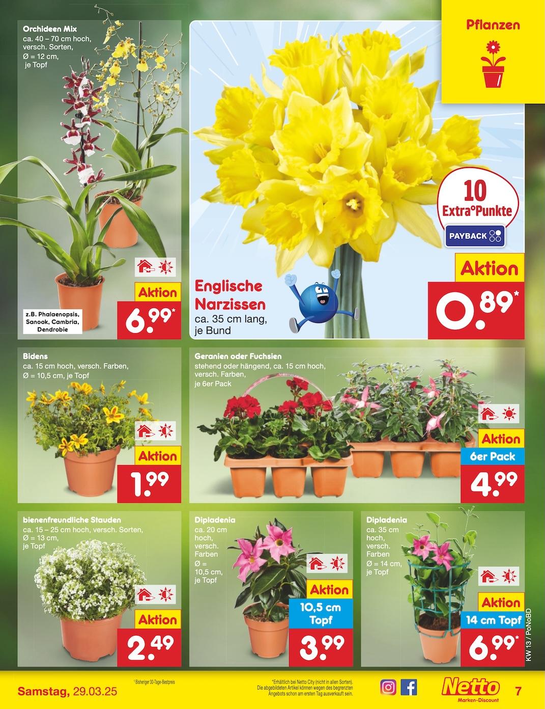 Netto Marken-Discount Seite 8