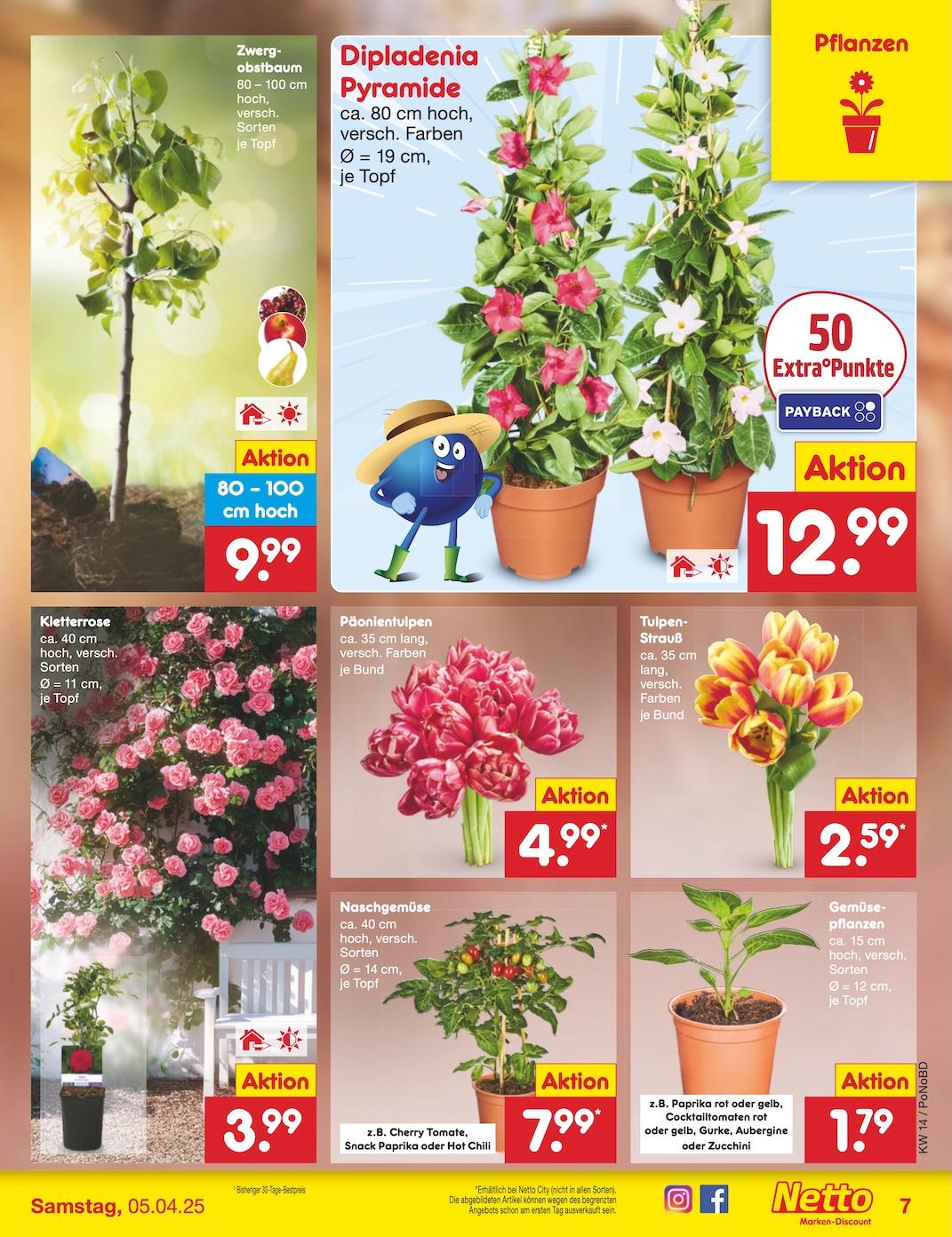 Netto Marken-Discount Seite 7