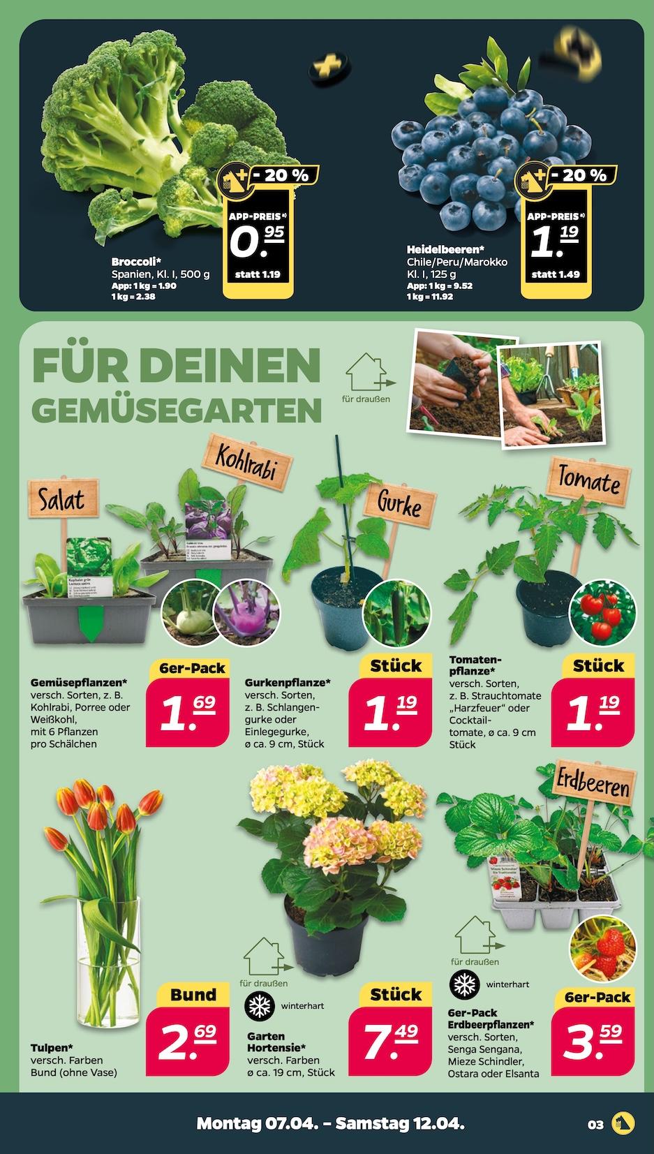 Netto Aktueller Prospekt ab Montag Seite 3