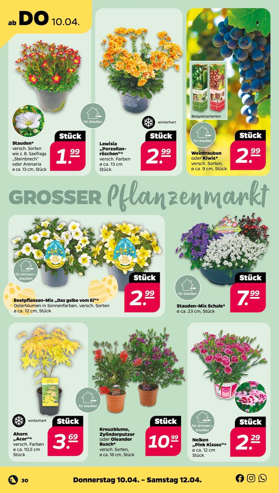 Netto Aktueller Prospekt ab Montag Seite 30