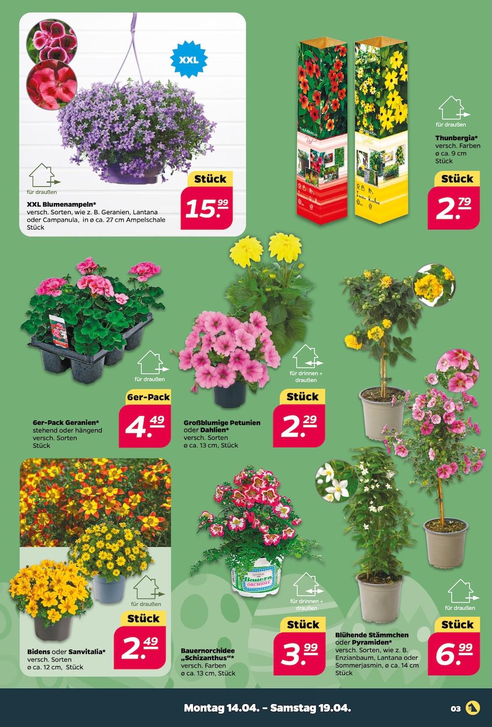 Netto Aktueller Prospekt ab Montag Seite 3